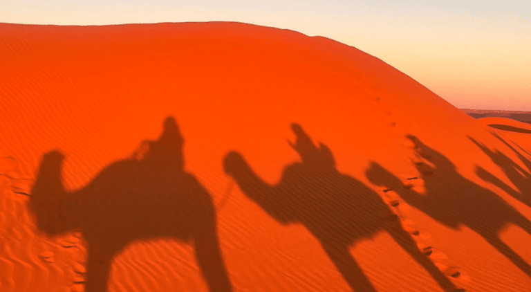 A Guide to Booking a Safari to the Sahara Desert Morocco