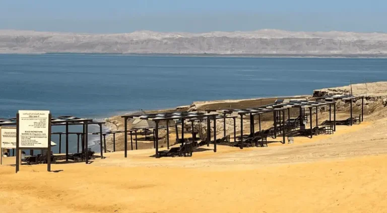 Coastal Beauty of the Dead Sea