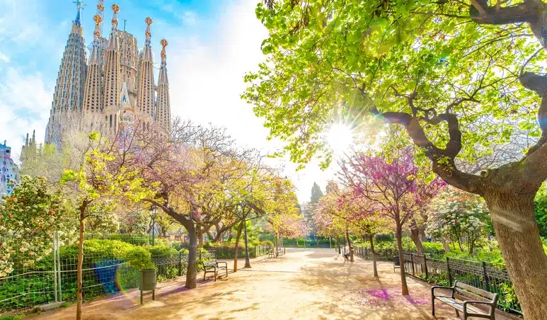7 Days Madrid Seville Cordoba Granada and Valencia Tour Package2