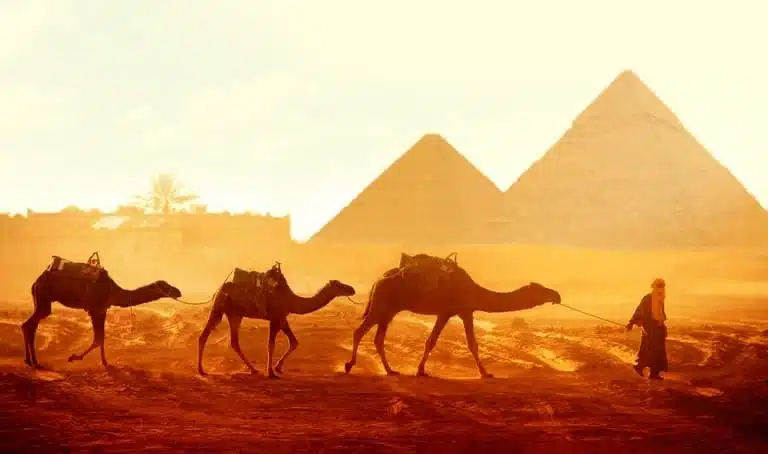Best Time to Visit Egypt from the USA Weather, Prices & Crowd Tips12