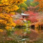 Japan Travel Cost: How Much Should You Budget for a Trip?