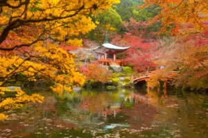 Japan Travel Cost: How Much Should You Budget for a Trip?